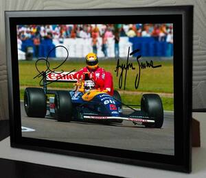  abroad limited goods postage included i-ll ton * Senna Ayrton Senna F1 frame display 