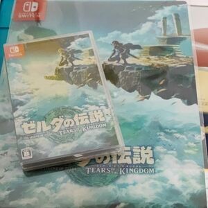 匿名配送 未開封 非売品クリアファイル付き ゼルダの伝説 Tears of the Kingdom ティアキン