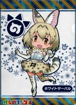 けものフレンズ　ホワイトサーバル　 A4クリアファイル　1枚　中古_画像1