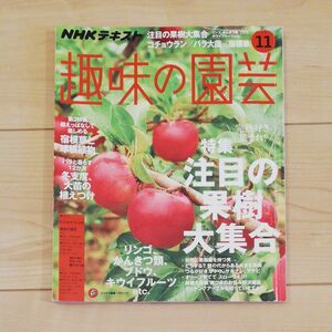 ＮＨＫテキスト 趣味の園芸 (１１ ２０１８) 月刊誌／ＮＨＫ出版