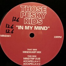 Those Pesky Kids / In My Mind_画像1