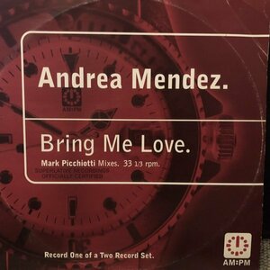 Andrea Mendez / Bring Me Love (Mark Picchiotti Mixes)