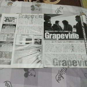 BANDやろうぜ☆記事☆切り抜き☆Grapevine=インタビュー『光について』『Lifetime』▽2PY：1035