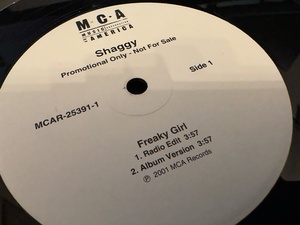 12”★Shaggy / Freaky Girl / ラガ・ヒップホップ / R&B！