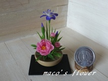 maco's　miniature flower♪花菖蒲と芍薬の生け花♪_画像1