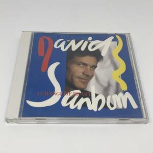 US盤 中古CD David Sanborn A Change Of Heart デイヴィッド・サンボーン チェンジ・オブ・ハート Warner Bros. 9 25479-2