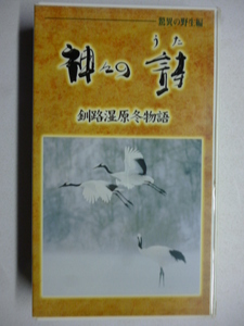 希少■VHS ビデオ■神々の詩 驚異の野生編■釧路湿原冬物語■高良留美子、津川雅彦、姫神、TBS■未DVD