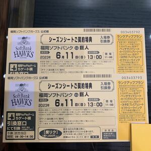  SoftBank Hawk s. person PayPay dome ticket 2 pieces set 6 month 11 day coupon 