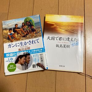 飯島夏樹ガンに生かされて、天国で君に逢えたら