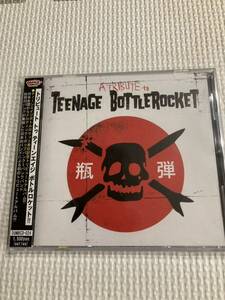 VA 「A Tribute To Teenage Bottlerocket 」punk pop melodic wimpys japanese yellow gang メロコア　ramones トリビュート　rock