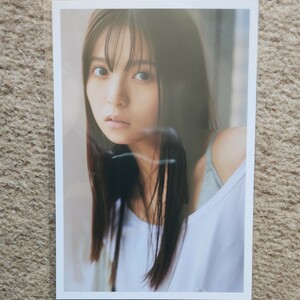 齋藤飛鳥 写真集 ミュージアム セブンネット限定特典　封入特典 ポストカード 乃木坂46