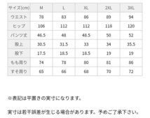 新品】限定モデル 送料299円 XLサイズ JORDAN AS M J FLT HRTG PHOTO SHORT ショートパンツ ハーフ メッシュ ジョーダン DM1393 NIKE 45aj3_画像10