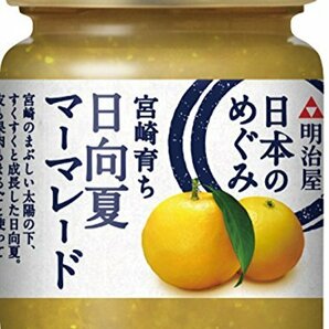 明治屋 日本のめぐみ 宮崎育ち 日向夏マーマレード 150g×2個の画像1