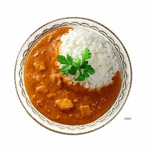 大塚食品 100kcalマイサイズ バターチキンカレー 120g×10個 カロリーコントロール レンジ調理対応 塩分2g以下設計_画像3