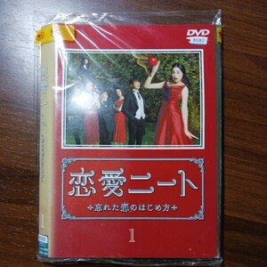 恋愛ニート　忘れた恋のはじめ方　全5巻 DVD レンタル落ち 中古 邦画 E30　匿名配送　送料無料