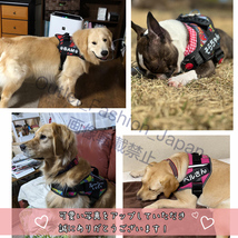 (Lサイズ)犬 胴輪 ハーネス用ラベル 2枚 名入れ 名前入り オリジナルラベル オーダーメード ネームタグ 名札 可愛い オシャレ おすすめ_画像6