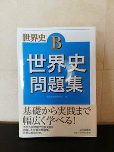 【未読・大学入試】世界史B　世界史問題集　世界史教育研究会編　山川出版社　2017/10/31 1版３刷