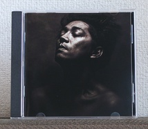 品薄/欧州製/CD/坂本龍一/ビューティ/Beauty/ブライアン・ウィルソン/ロバート・ワイアット/ユッスー・ンドゥール/アート・リンゼイ/YMO_画像1