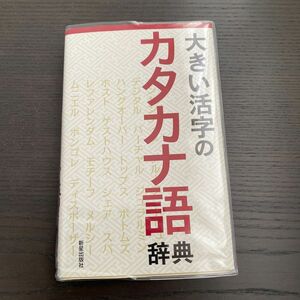 大きい活字のカタカナ語辞典 新星出版社編集部／編