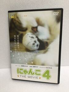 即決！ DVD セル版 にゃんこ THE MOVIE 4 ☆綾瀬 はるか☆ 送料無料！