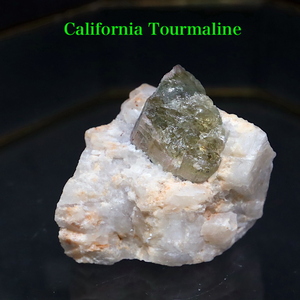 【送料無料】グリーン トルマリン 電気石 母岩付き 24,3g T490 鉱物　天然石　原石　パワーストーン