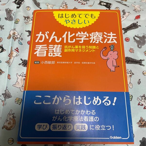 はじめてでもやさしいがん化学療法看護　抗がん薬を扱う知識と副作用マネジメント 小西敏郎／編集