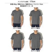 新品未使用 ヘインズ ビーフィー 半袖Tシャツ 白 XXXLサイズ 2枚セット 国内正規品 男女兼用 Hanes BEEFY H5180 ホワイト_画像5