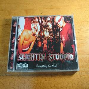 SLIGHTLY STOOPID / Everything You Need スライトリー・ストゥーピッド/エヴリシング・ユー・ニード 輸入盤 【CD】
