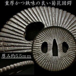 【 恵 #0603 】 厚み 約 5.5ｍｍ 重厚かつ鉄味の良い菊花図鍔　検：鍔/縁頭/切羽/ハバキ/刀剣/刀装具