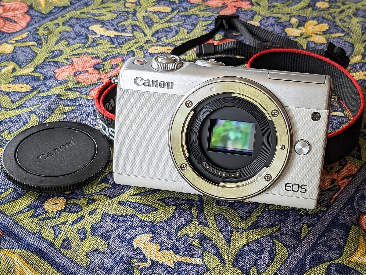 ヤフオク! -「canon eos m100 ダブルズームキット(ホワイト)」の落札