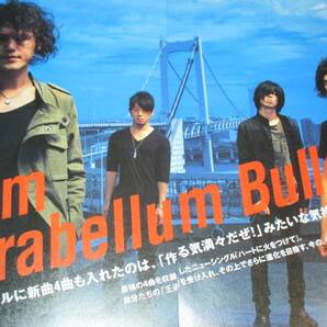 9mm Parabellum Bullet  2006年〜切り抜き 303ページ（1） キューミリパラベラムバレット・菅原卓郎の画像2