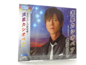 ◆新品 未開封品 演歌 北山たけし 流星カシオペア 砂漠に雨が降る如く 演歌シングルCD 男性演歌歌手 演歌CD 昭和演歌 歌謡曲 平成 0007