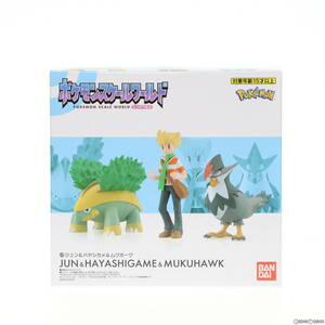 【中古】[FIG](食玩)ポケモンスケールワールド シンオウ地方 ジュン&ハヤシガメ&ムクホーク ポケットモンスター 1/20 完成品 フィギュア プ