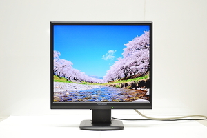 Princeton 19型液晶ディスプレイプリンストン　PTFBLF-19W【中古】