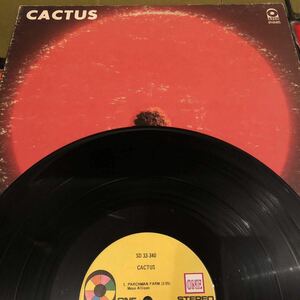 ［US-ORIG］CACTUS / CACTUS