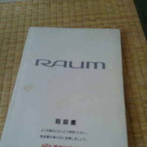  Raum user's manual 