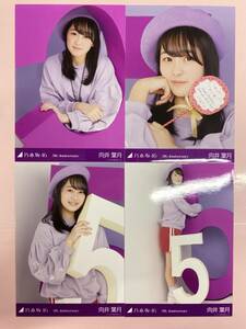 乃木坂46 向井葉月 生写真 5th Anniversary 4枚コンプ/No7057