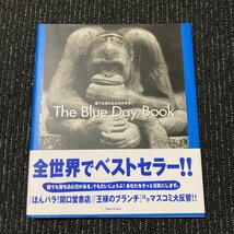 The Blue Day Book　誰でも落ち込む日がある。　ブルーデイブック　ブラッドリー・トレバー・グリーヴ　石田享　竹書房　　30207_画像1