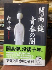 開高健 青春の闇　　　　　　　　　向井　敏