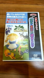 星みつる 秀逸 フラッシュ DVD 短文・童話の聴きとり 動作確認済 幼児 低学年 早期教育 右脳教育 かけ流し