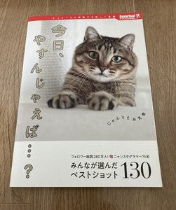 今日、やすんじゃえば...？　みんなが選んだベストショット130　サプライズBOOK