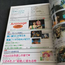 アニメージュ1995年6月号▲新機動戦記ガンダムW▲マクロス7▲忍空▲ストリートファイターⅡ V▲ルパン三世▲攻殻機動隊▲ブラックジャック_画像2