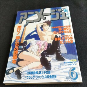 アニメージュ1995年6月号▲新機動戦記ガンダムW▲マクロス7▲忍空▲ストリートファイターⅡ V▲ルパン三世▲攻殻機動隊▲ブラックジャック