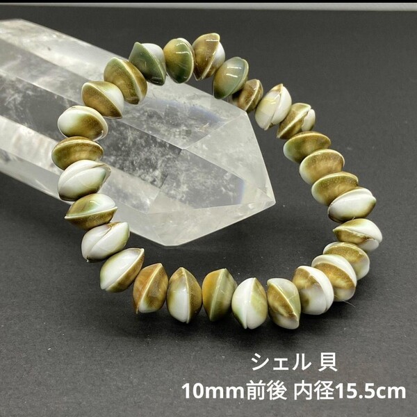 T65 シェル 貝 10mm前後 内径15.5cm ブレスレット