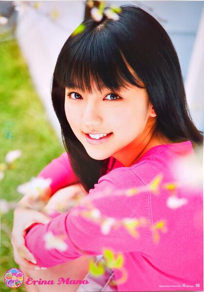 真野恵里菜 A4ポスター7枚 ポートレート写真集