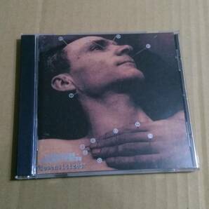 送料込 Pitch Shifter - "desensitized"☆Godflesh Ministry Jesu Neurosis