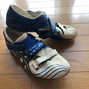 アシックス ASICS サイバーブレード 25.0cm