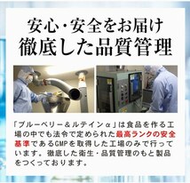 【機能性表示食品】リフレ ブルーベリー＆ルテインα 31粒入　目の健康を守りたい方へ・・疲労感、かすみ、ぼやけ、つらい目の3大悩みに！_画像9