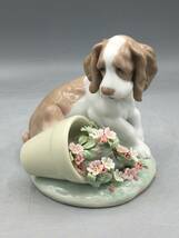 リヤドロ LLADRO 陶器人形 僕じゃないよ！7672 犬 花 フィギュリン スペイン製 陶器 置物 リアドロ_画像1