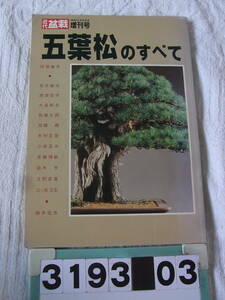 b3193 monthly modern times bonsai increase . number . leaf pine. all 
